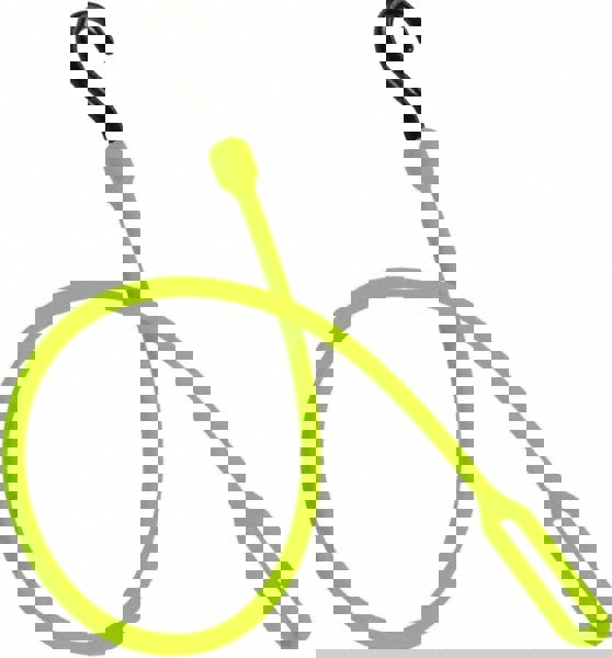 Loop End Bungee Cord Tie Down: Molded Nylon Hook, Non-Load Rated